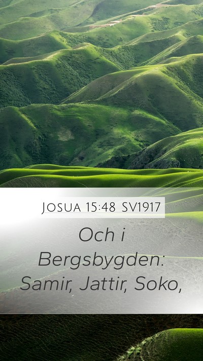 Josua 15:48 SV1917 Bible Verse Image