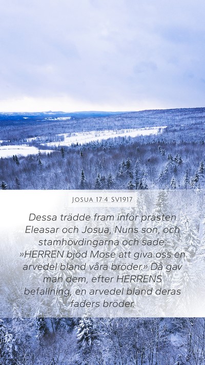 Josua 17:4 SV1917 Mobile Phone Wallpaper - Dessa trädde fram inför prästen Eleasar och - Mobile Bible Verse Wallpaper