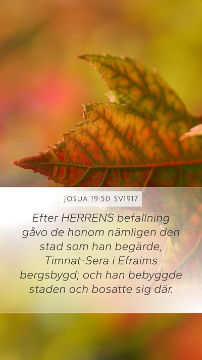 Josua 19:50 SV1917 Bible Verse Image