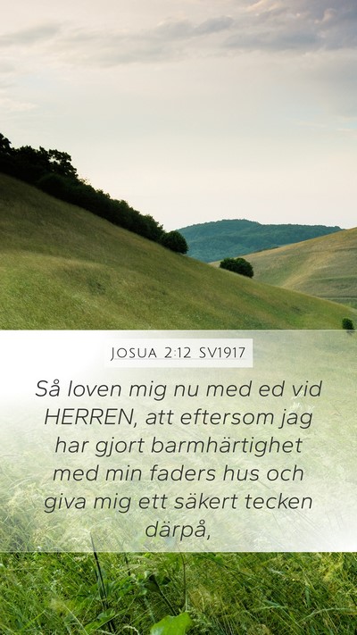 Josua 2:12 SV1917 Bible Verse Image
