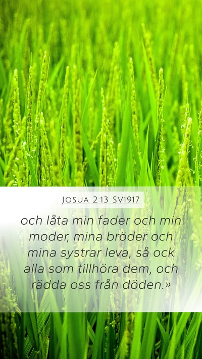 Josua 2:13 SV1917 Mobile Phone Wallpaper - och låta min fader och min moder, mina bröder - Mobile Bible Verse Wallpaper