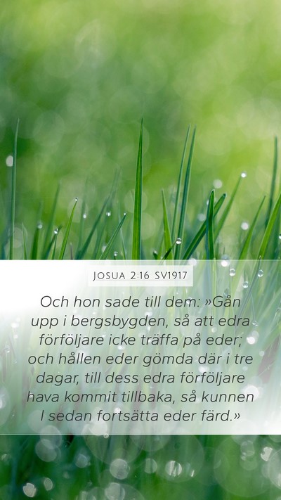 Josua 2:16 SV1917 Mobile Phone Wallpaper - Och hon sade till dem: »Gån upp i bergsbygden, - Mobile Bible Verse Wallpaper