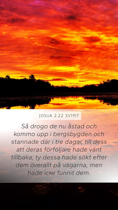 Josua 2:22 SV1917 Bible Verse Image