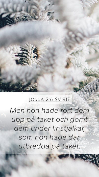Josua 2:6 SV1917 Mobile Phone Wallpaper - Men hon hade fört dem upp på taket och gömt - Mobile Bible Verse Wallpaper