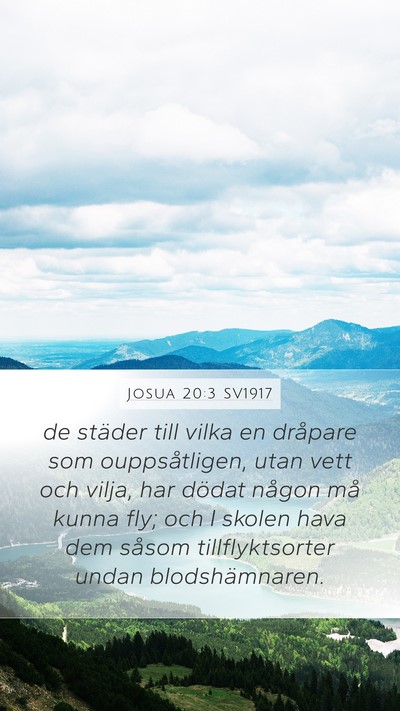 Josua 20:3 SV1917 Mobile Phone Wallpaper - de städer till vilka en dråpare som - Mobile Bible Verse Wallpaper