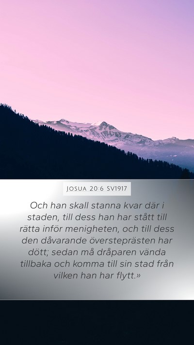 Josua 20:6 SV1917 Bible Verse Image
