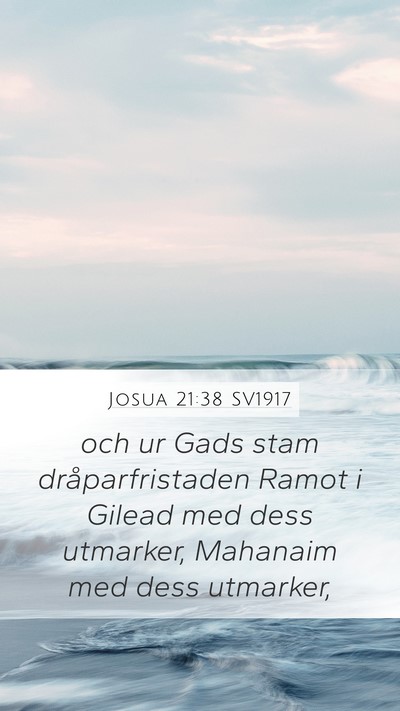 Josua 21:38 SV1917 Bible Verse Image