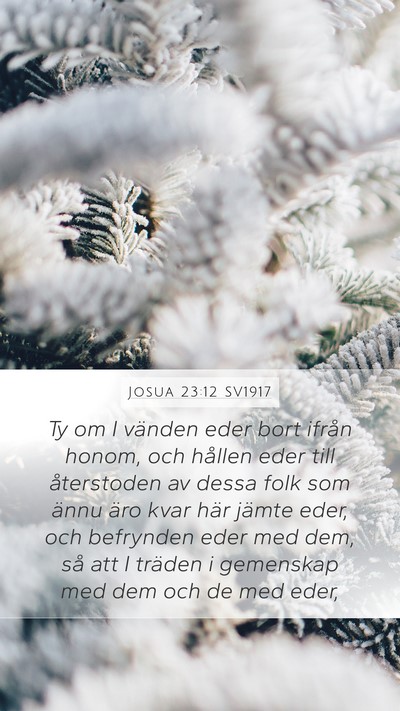 Josua 23:12 SV1917 Bible Verse Image
