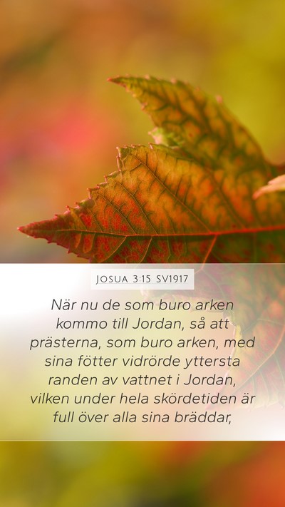 Josua 3:15 SV1917 Bible Verse Image