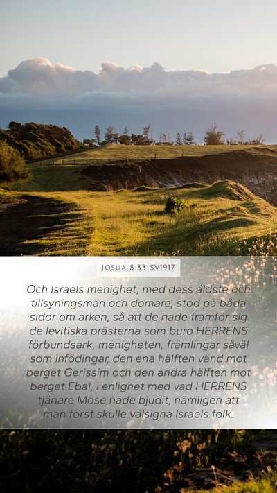 Josua 8:33 SV1917 Bible Verse Image