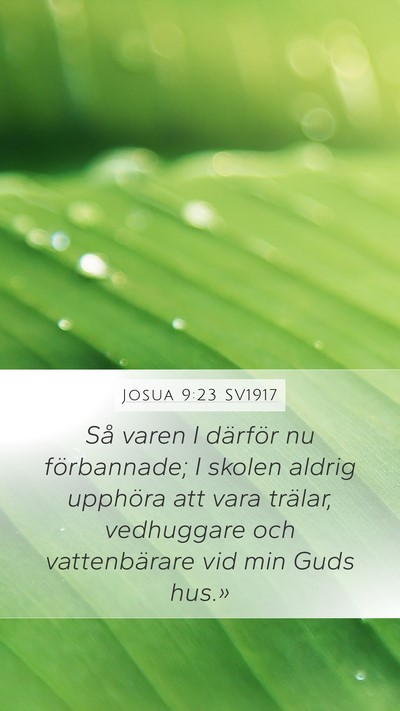 Josua 9:23 SV1917 Bible Verse Image
