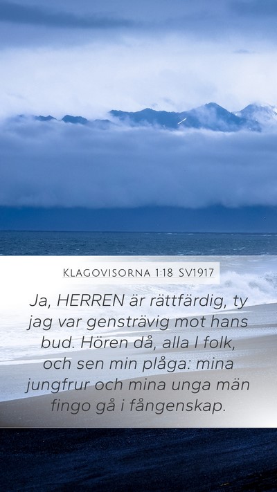 Klagovisorna 1:18 SV1917 Bible Verse Image
