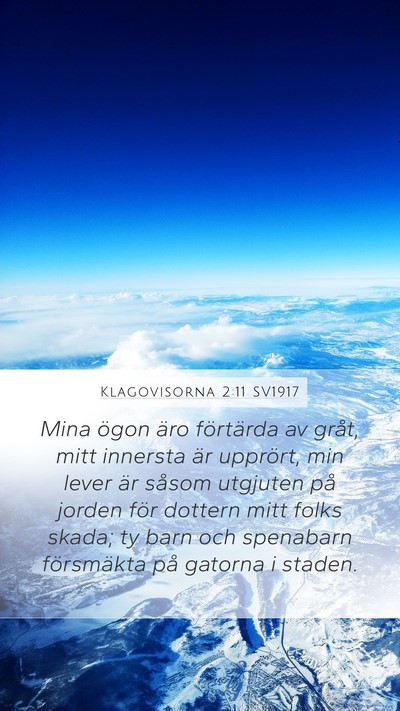 Klagovisorna 2:11 SV1917 Bible Verse Image