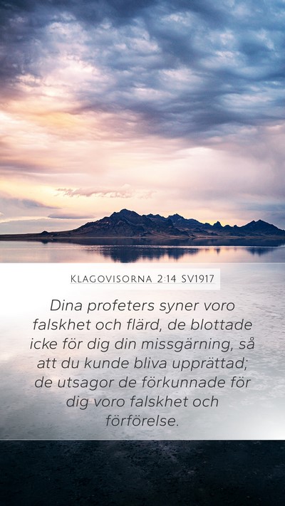 Klagovisorna 2:14 SV1917 Bible Verse Image
