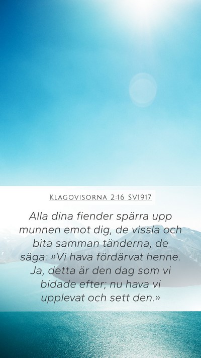 Klagovisorna 2:16 SV1917 Bible Verse Image