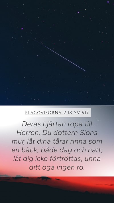 Klagovisorna 2:18 SV1917 Bible Verse Image