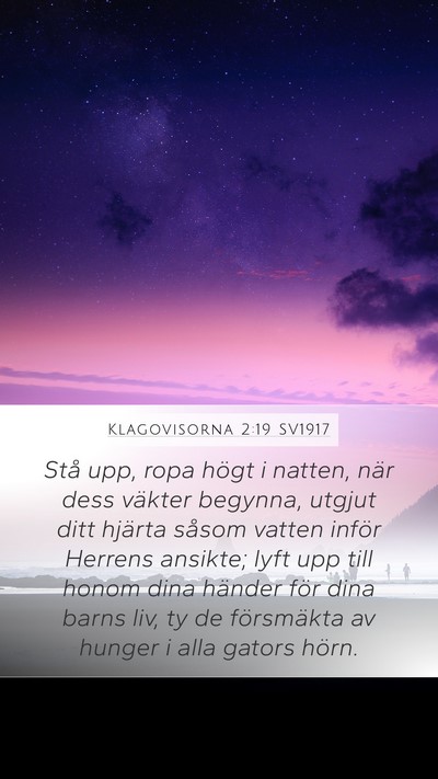 Klagovisorna 2:19 SV1917 Bible Verse Image