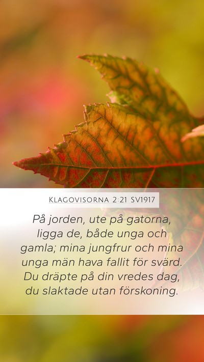 Klagovisorna 2:21 SV1917 Bible Verse Image