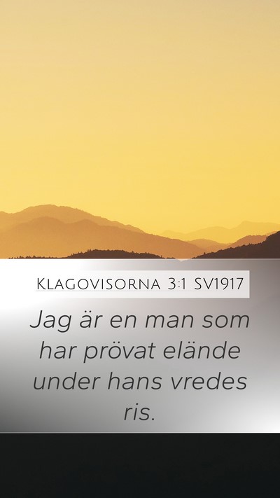Klagovisorna 3:1 SV1917 Mobile Phone Wallpaper - Jag är en man som har prövat elände under hans - Mobile Bible Verse Wallpaper