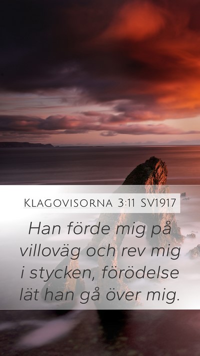 Klagovisorna 3:11 SV1917 Bible Verse Image