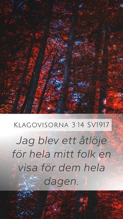 Klagovisorna 3:14 SV1917 Bible Verse Image