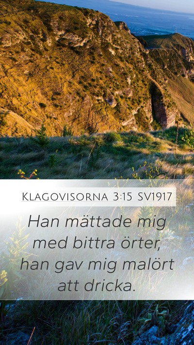 Klagovisorna 3:15 SV1917 Bible Verse Image