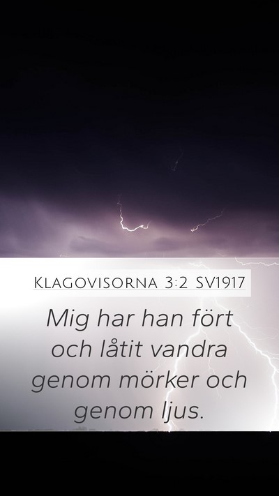 Klagovisorna 3:2 SV1917 Bible Verse Image
