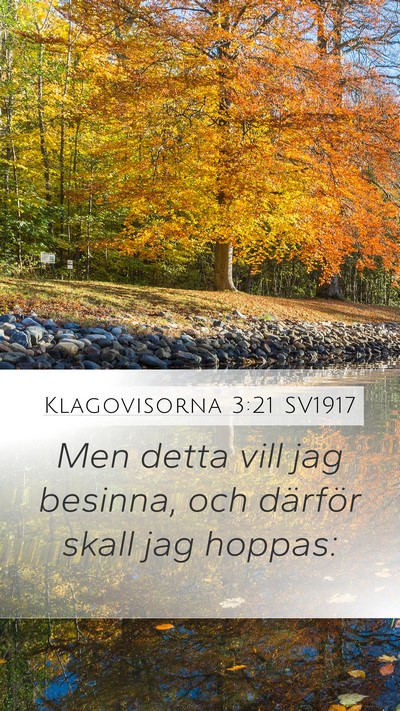 Klagovisorna 3:21 SV1917 Bible Verse Image