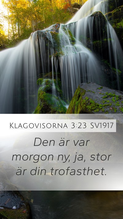 Klagovisorna 3:23 SV1917 Bible Verse Image