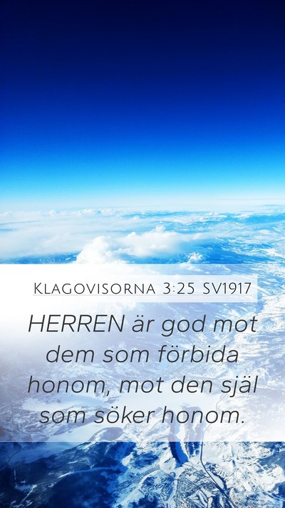 Klagovisorna 3:25 SV1917 Bible Verse Image