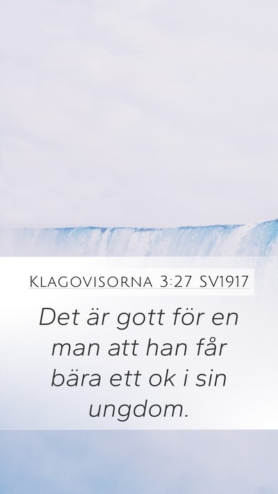 Klagovisorna 3:27 SV1917 Bible Verse Image