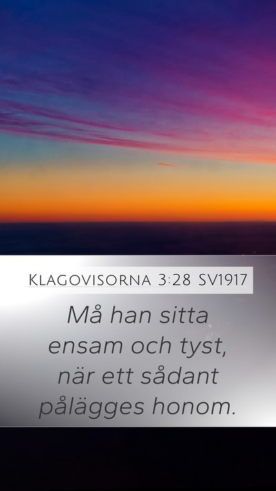 Klagovisorna 3:28 SV1917 Bible Verse Image