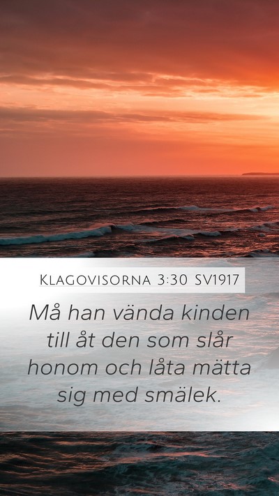 Klagovisorna 3:30 SV1917 Bible Verse Image
