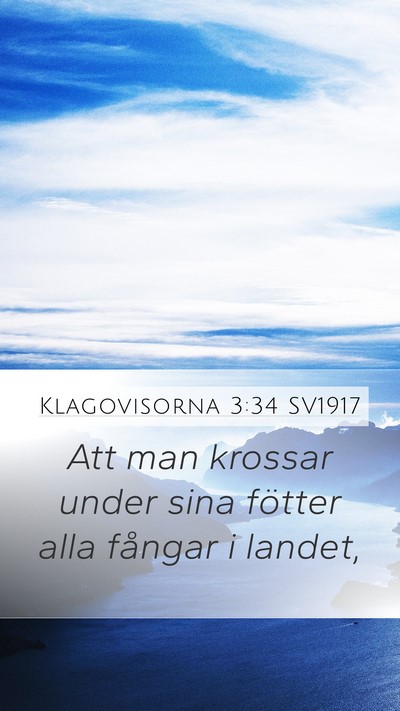 Klagovisorna 3:34 SV1917 Bible Verse Image