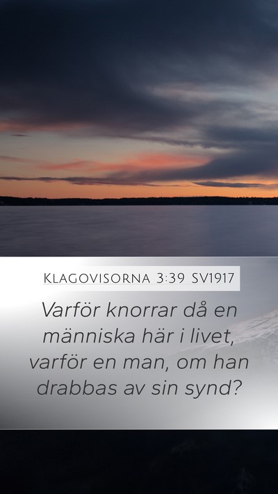 Klagovisorna 3:39 SV1917 Bible Verse Image