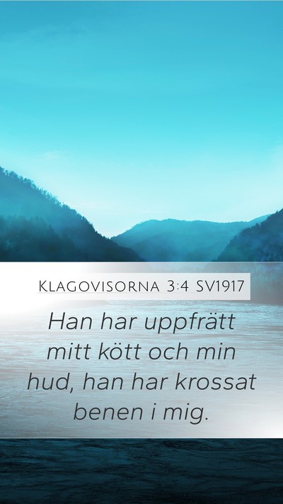 Klagovisorna 3:4 SV1917 Mobile Phone Wallpaper - Han har uppfrätt mitt kött och min hud, han har - Mobile Bible Verse Wallpaper