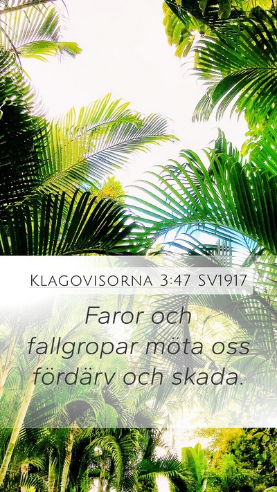 Klagovisorna 3:47 SV1917 Bible Verse Image
