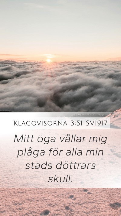 Klagovisorna 3:51 SV1917 Bible Verse Image