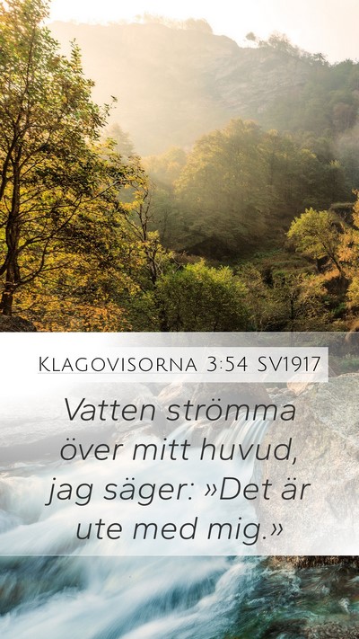 Klagovisorna 3:54 SV1917 Bible Verse Image