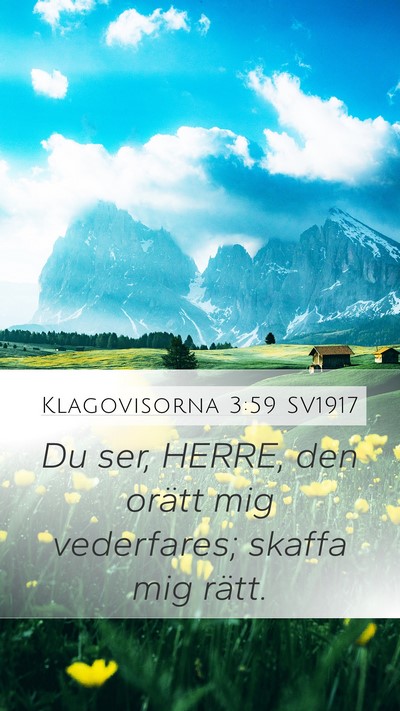 Klagovisorna 3:59 SV1917 Bible Verse Image
