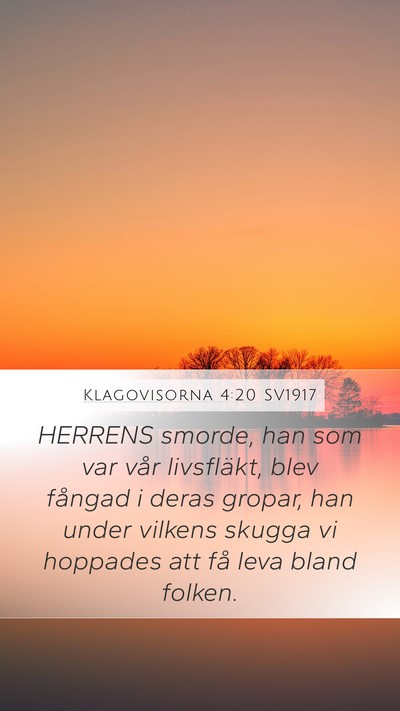 Klagovisorna 4:20 SV1917 Bible Verse Image
