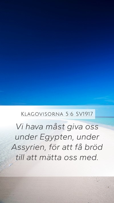 Klagovisorna 5:6 SV1917 Bible Verse Image