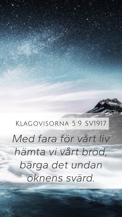 Klagovisorna 5:9 SV1917 Bible Verse Image