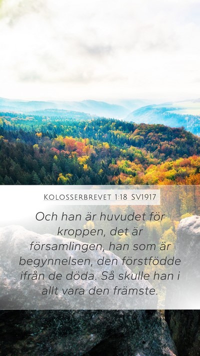 Kolosserbrevet 1:18 SV1917 Bible Verse Image