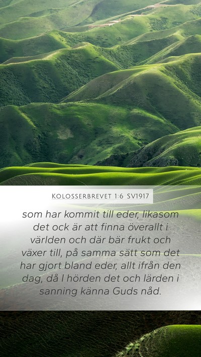 Kolosserbrevet 1:6 SV1917 Bible Verse Image