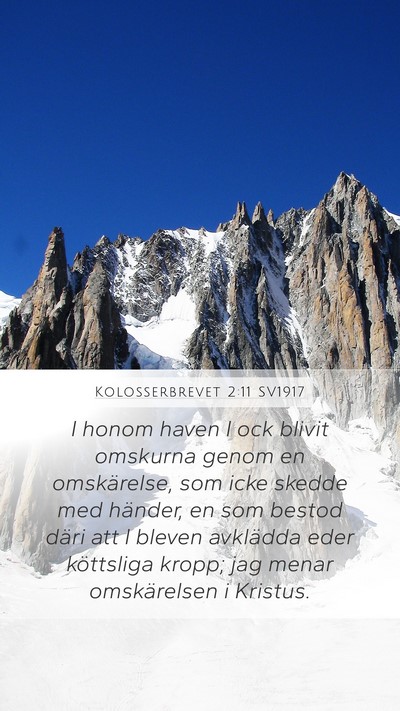 Kolosserbrevet 2:11 SV1917 Bible Verse Image