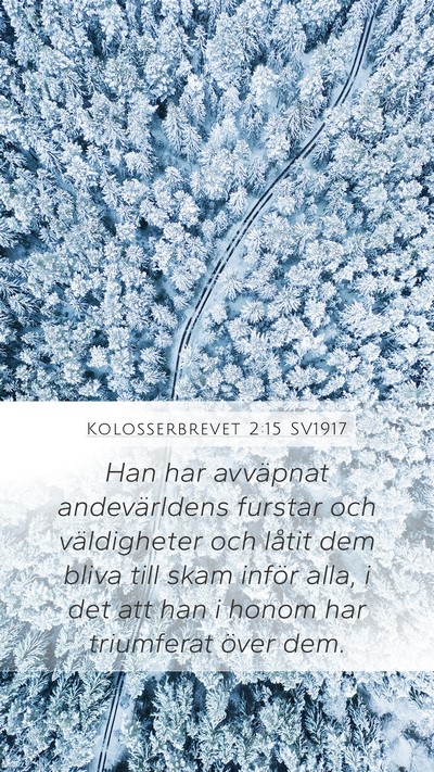 Kolosserbrevet 2:15 SV1917 Bible Verse Image