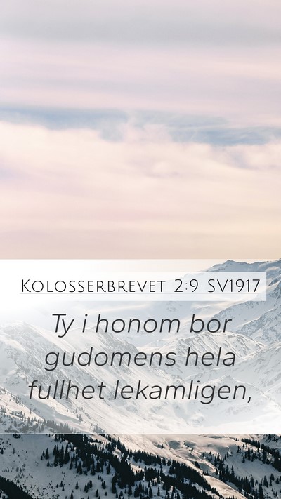Kolosserbrevet 2:9 SV1917 Bible Verse Image