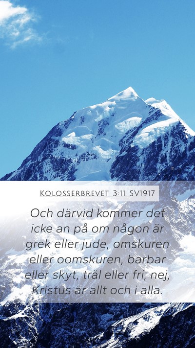 Kolosserbrevet 3:11 SV1917 Bible Verse Image