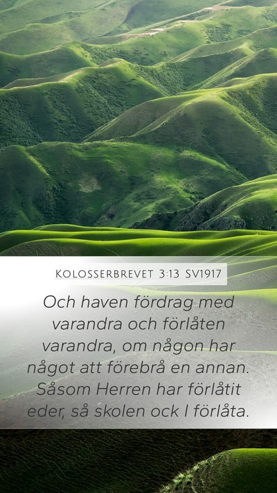 Kolosserbrevet 3:13 SV1917 Bible Verse Image